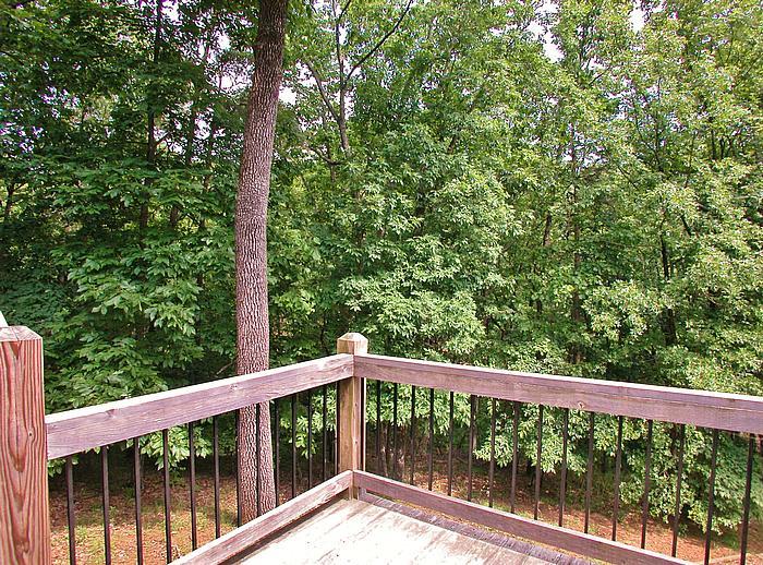 490 Running Deer Rd, Cornelia, GA 30531 photo 25