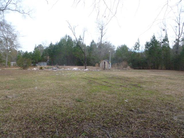 133 Fox Ln, Fleming, GA 31309 photo 1
