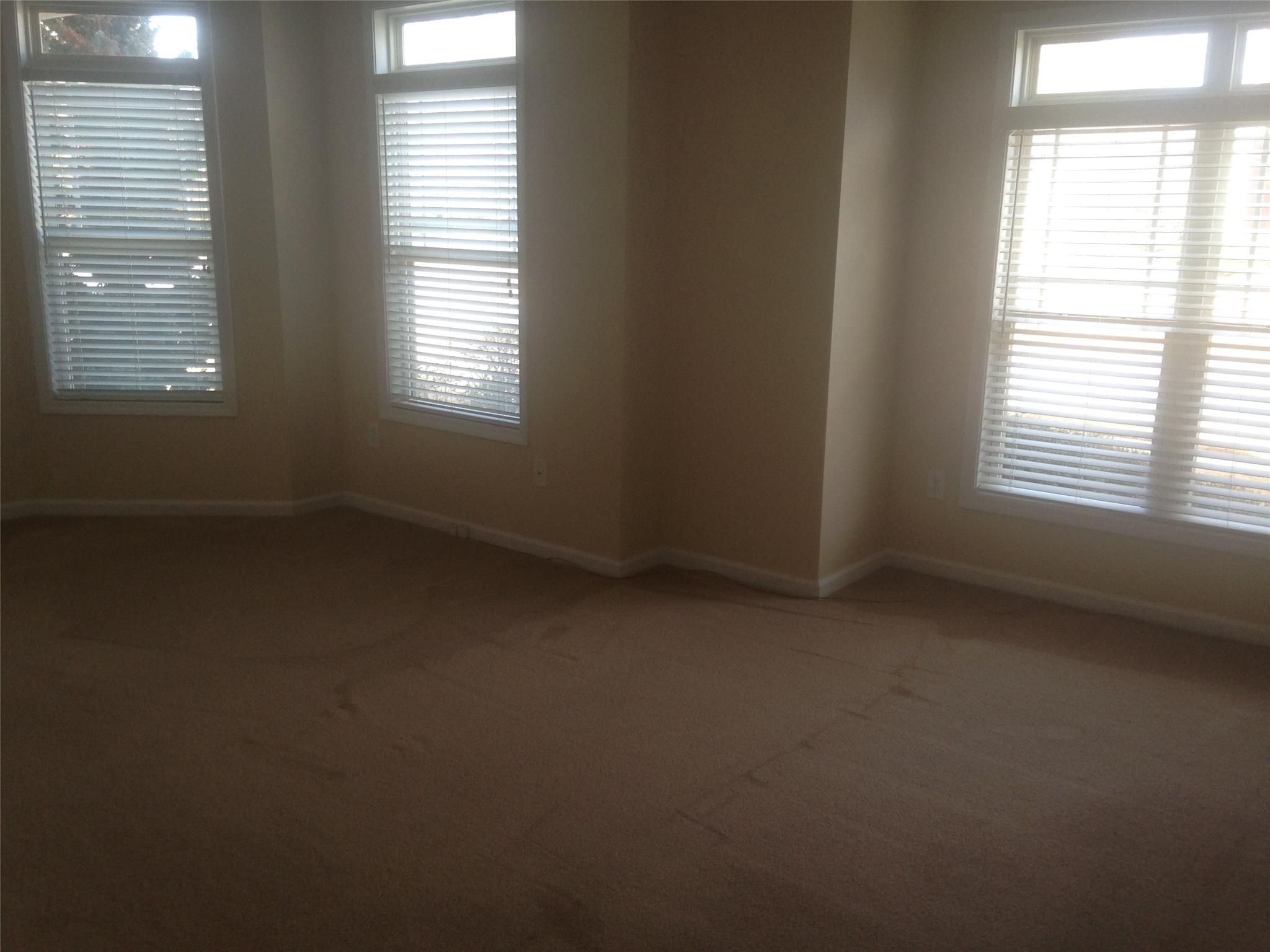 804 Durham Ct, Canton, GA 30115 photo 13