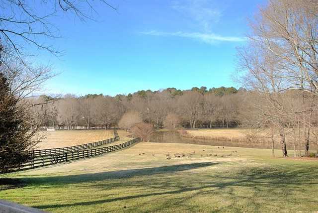 14930 E Bluff Rd, Alpharetta, GA 30004 photo 25
