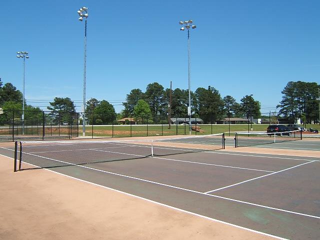 1138 Lehavre Ct, Hampton, GA 30228 photo 21