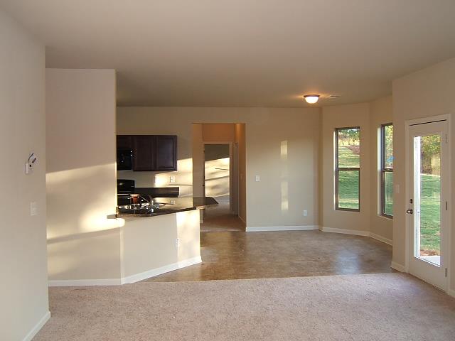 1138 Lehavre Ct, Hampton, GA 30228 photo 8