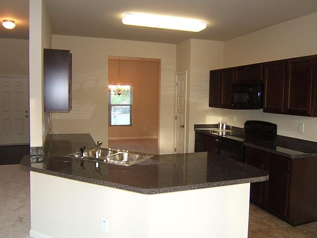 1138 Lehavre Ct, Hampton, GA 30228 photo 7