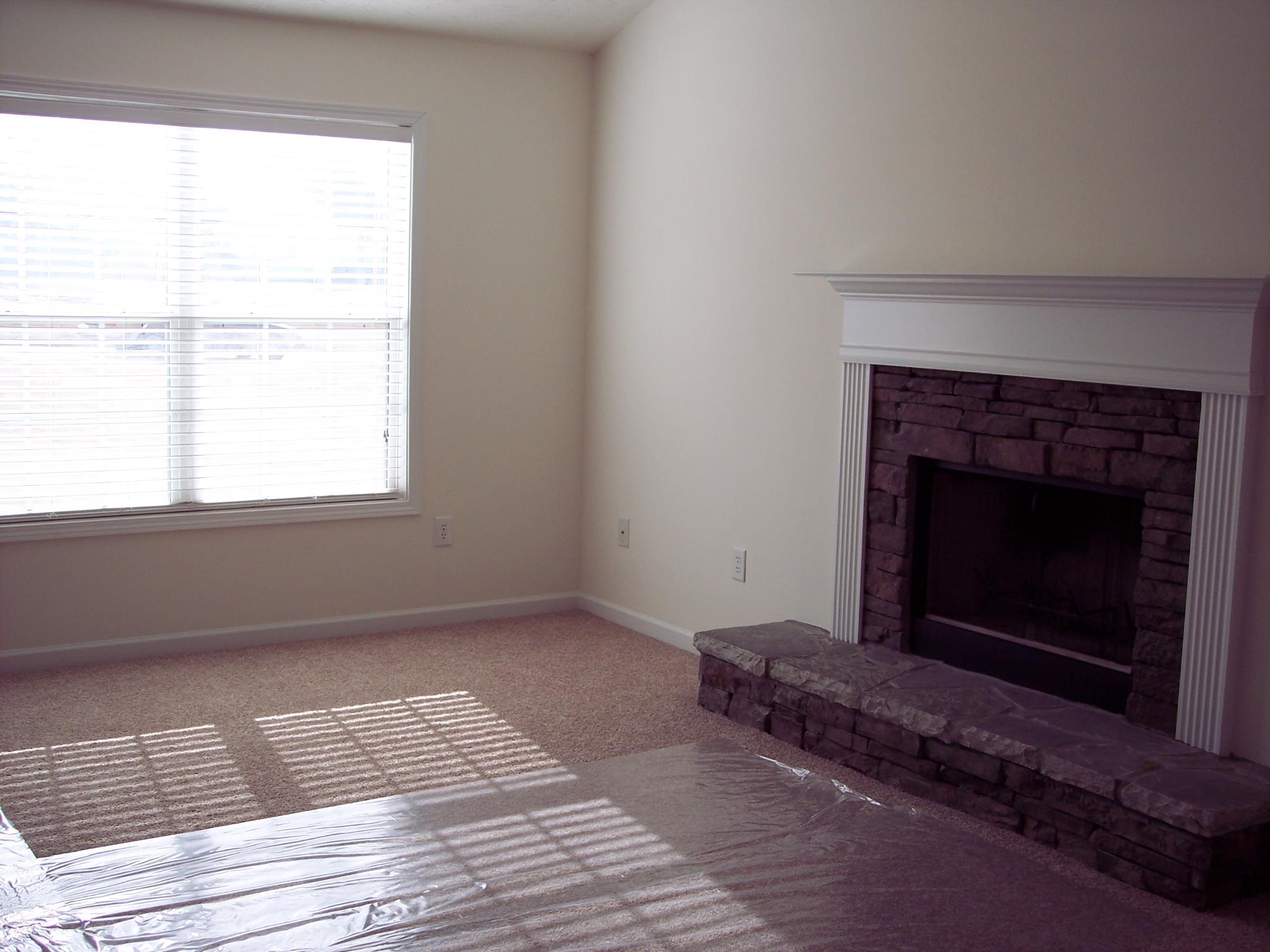 1307 Baylor Dr, Bethlehem, GA 30620 photo 6