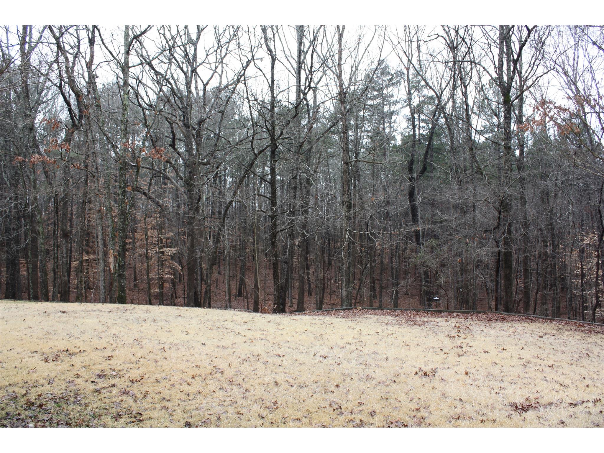 2280 E Maddox Rd, Buford, GA 30518 photo 25