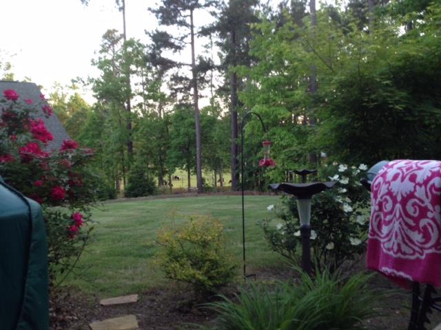 109 Creek Pointe Dr, Lagrange, GA 30240 photo 25