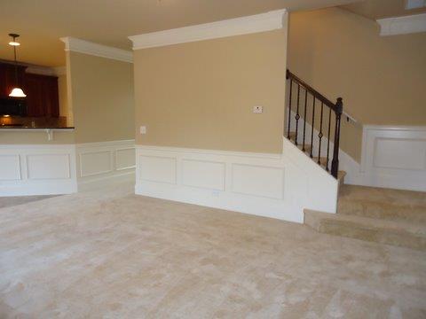 217 Snow Bird Dr, Hampton, GA 30228 photo 18