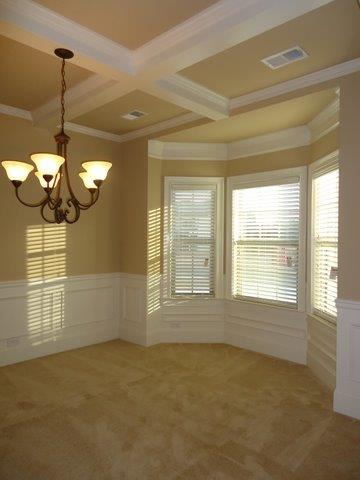 217 Snow Bird Dr, Hampton, GA 30228 photo 4