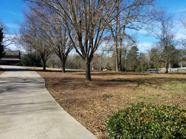 2346 Ewing Chapel Rd, Dacula, GA 30019 photo 3