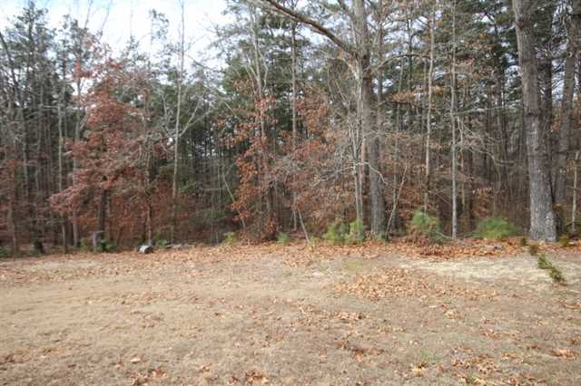 2409 Mitford Ct, Dacula, GA 30019 photo 24