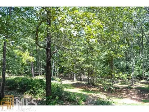 40 Dixie Ln, Covington, GA 30014 photo 16