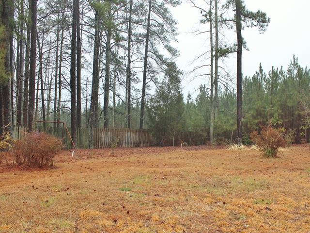 729 Pinehurst Dr, Fairburn, GA 30213 photo 23