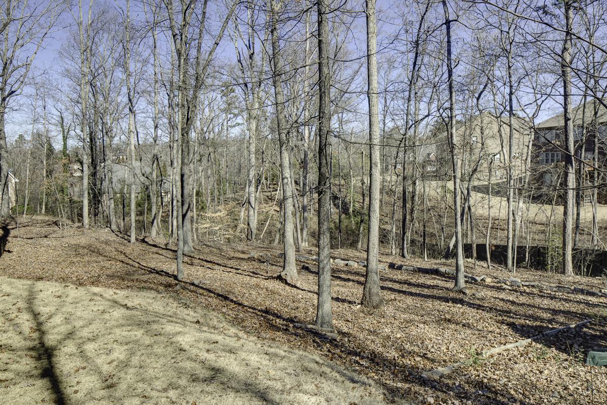 10075 Normandy Ln, Suwanee, GA 30024 photo 25
