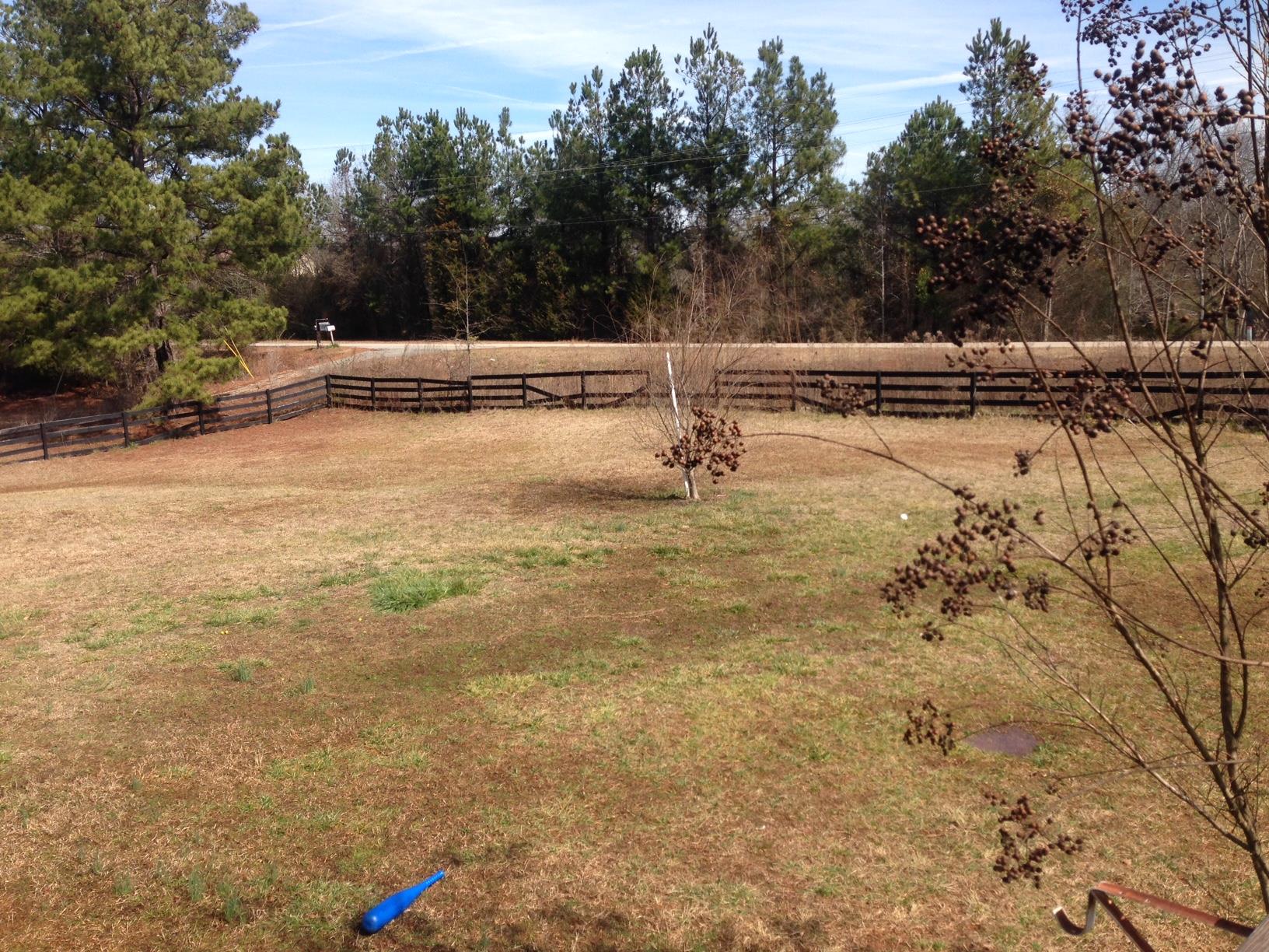 982 Boxankle Rd, Forsyth, GA 31029 photo 20