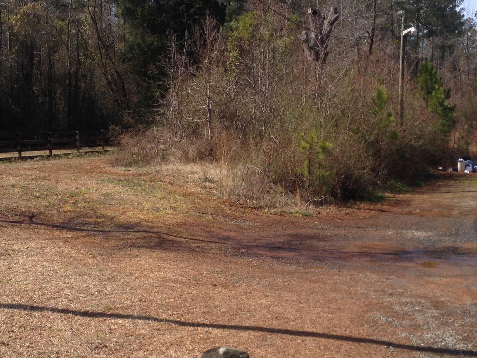 982 Boxankle Rd, Forsyth, GA 31029 photo 3