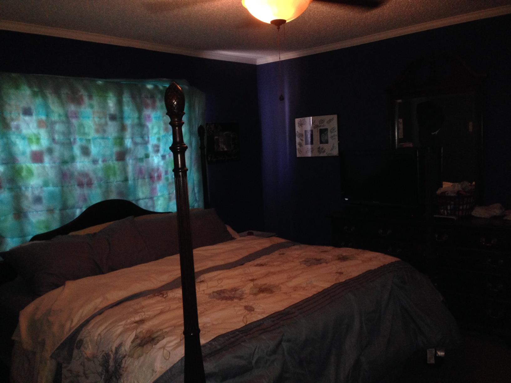 982 Boxankle Rd, Forsyth, GA 31029 photo 10
