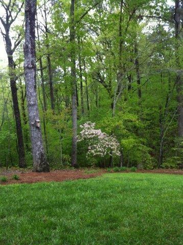 171 Oriole Trce, Jasper, GA 30143 photo 13