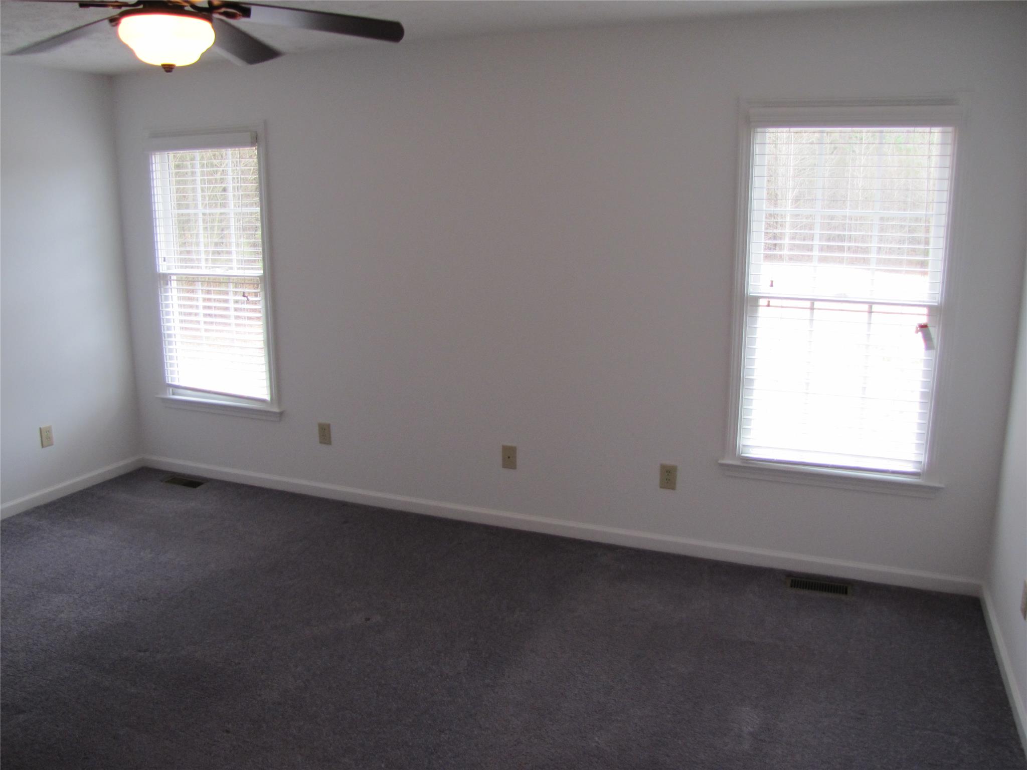 921 Mckendree Ln, Bethlehem, GA 30620 photo 9