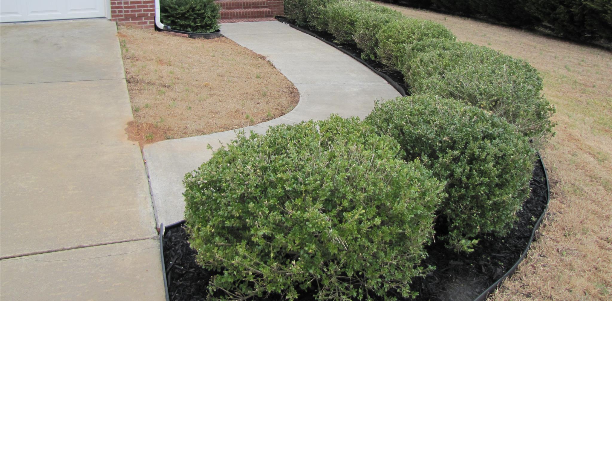 921 Mckendree Ln, Bethlehem, GA 30620 photo 2
