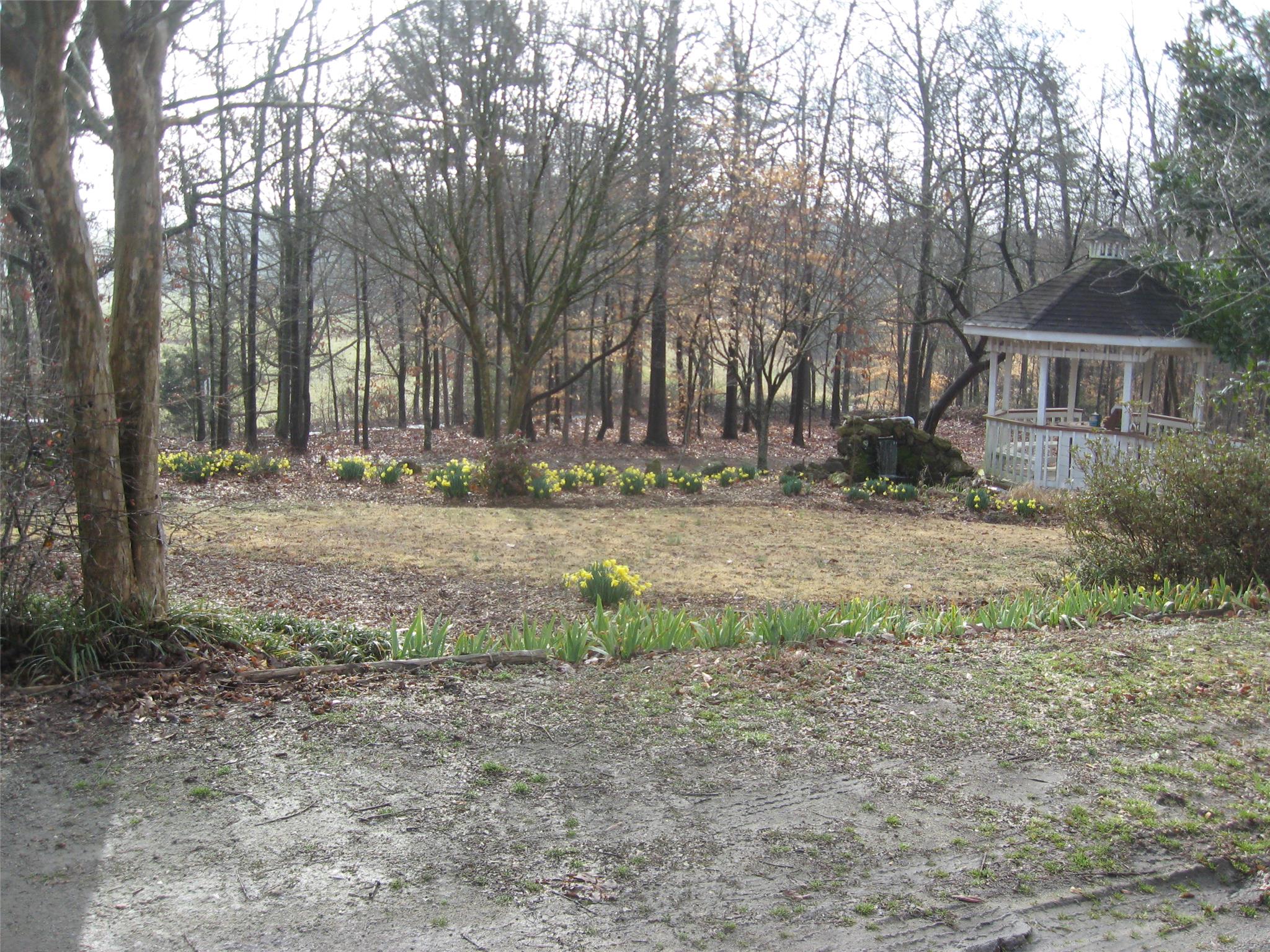 196 Hillcrest Loop, Royston, GA 30662 photo 22