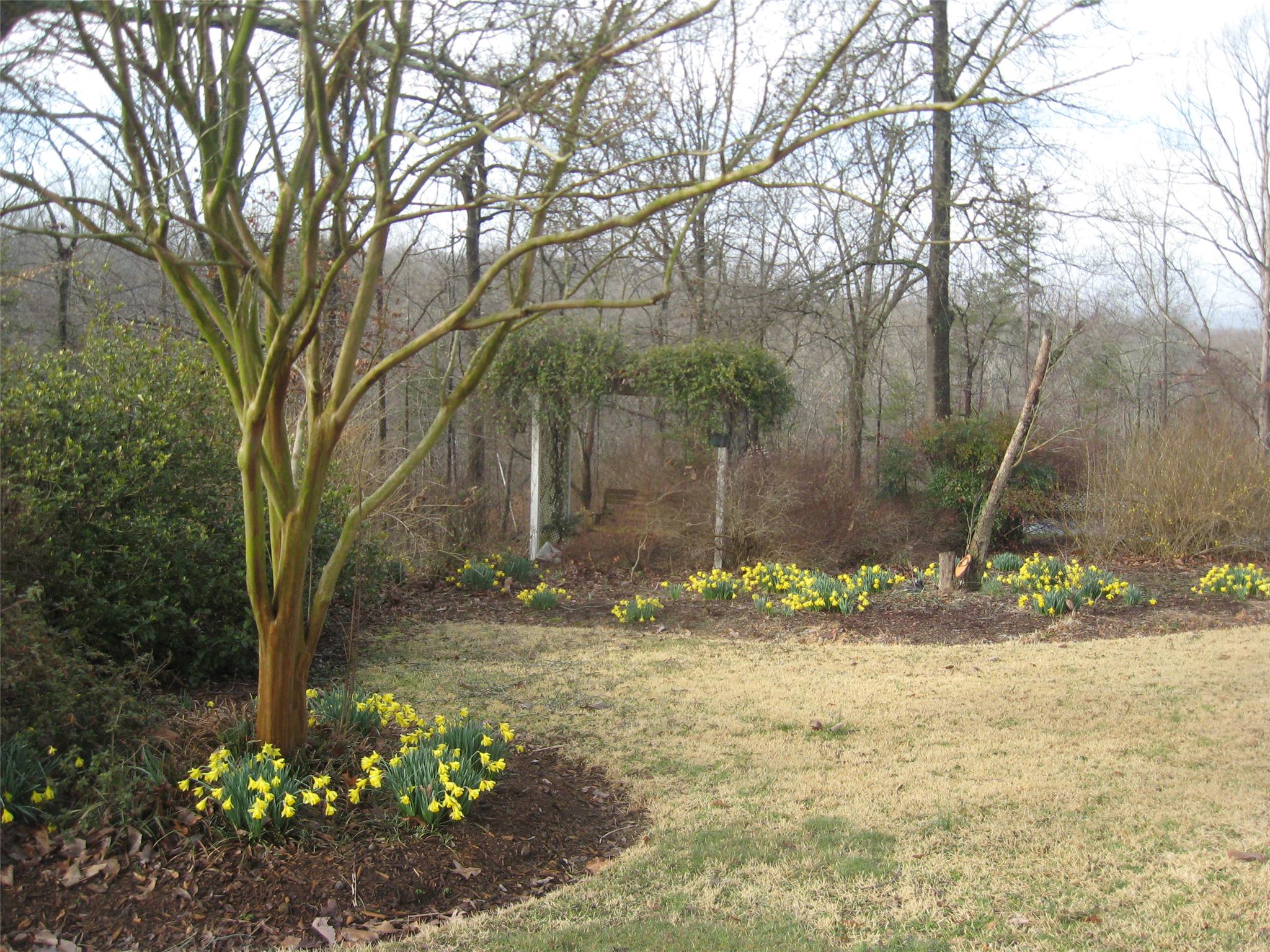 196 Hillcrest Loop, Royston, GA 30662 photo 20