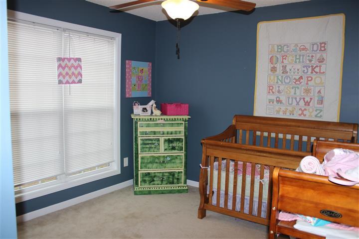357 Centennial Dr, Bethlehem, GA 30620 photo 11