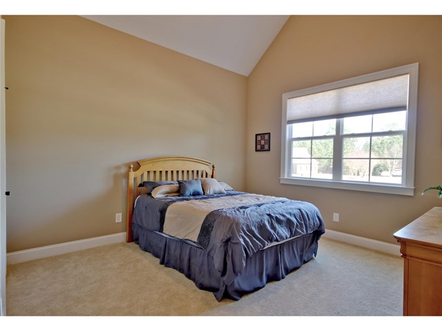 110 River Dance Way, Tyrone, GA 30290 photo 19
