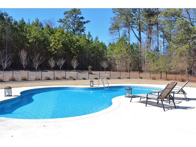 110 River Dance Way, Tyrone, GA 30290 photo 24