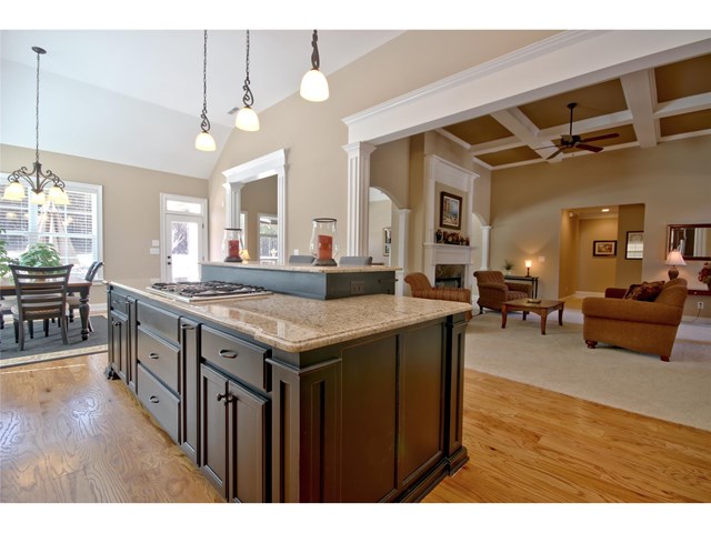 110 River Dance Way, Tyrone, GA 30290 photo 9