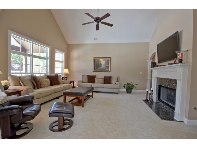 110 River Dance Way, Tyrone, GA 30290 photo 12