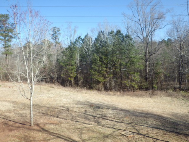 165 Long Dr, Covington, GA 30016 photo 22