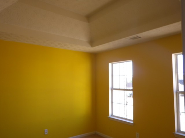 165 Long Dr, Covington, GA 30016 photo 17