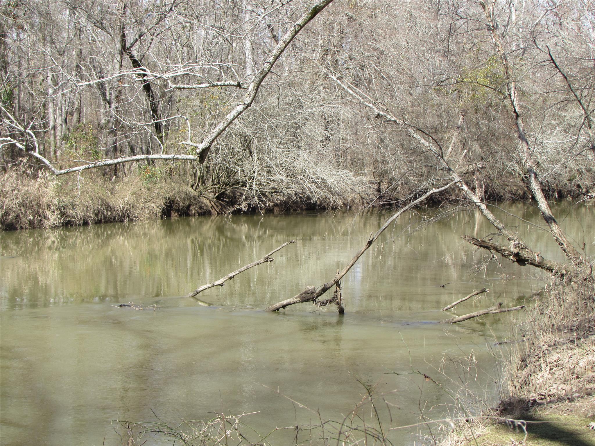 13643 Hughes Xing, Hampton, GA 30228 photo 24