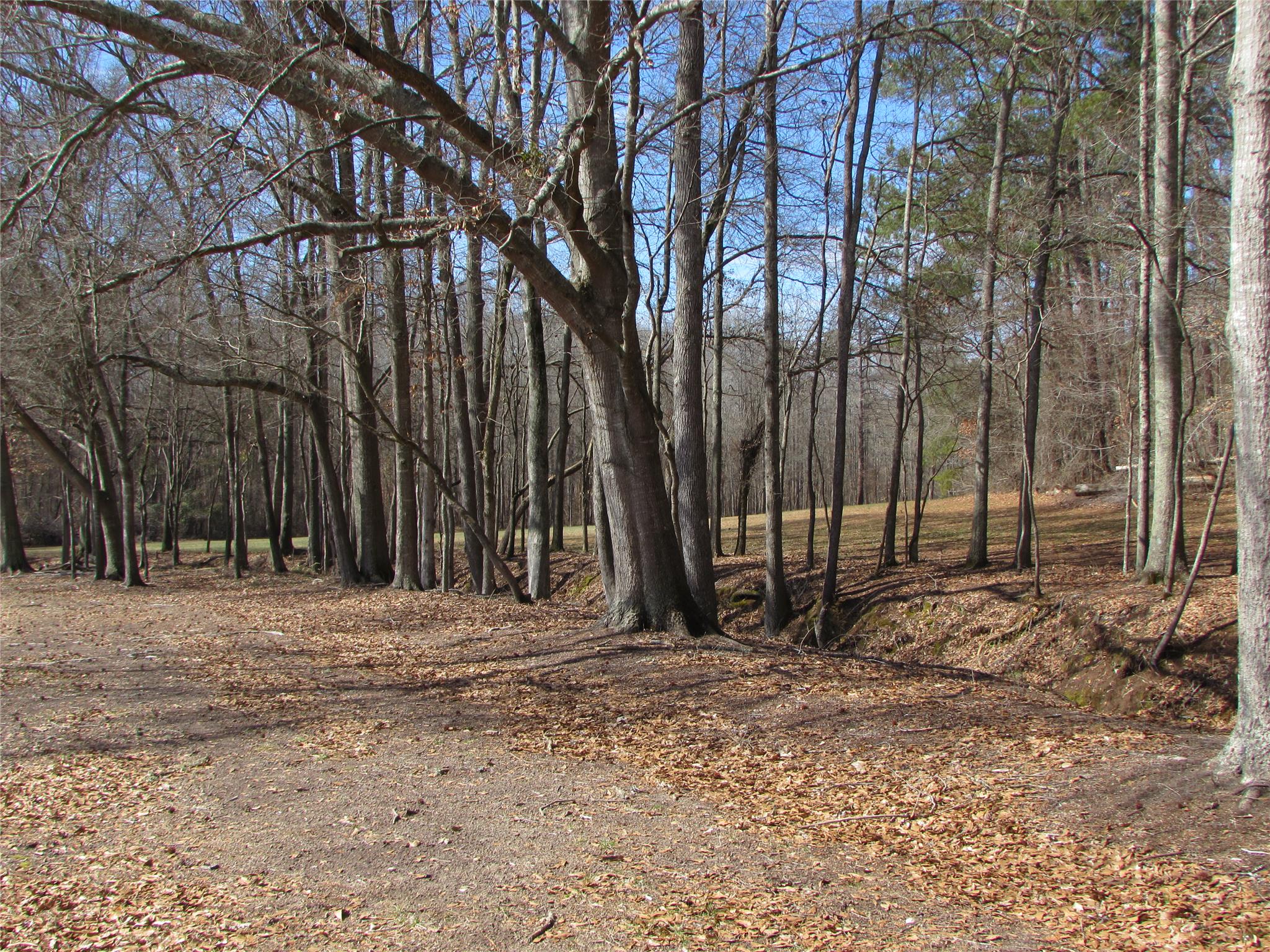 13643 Hughes Xing, Hampton, GA 30228 photo 23