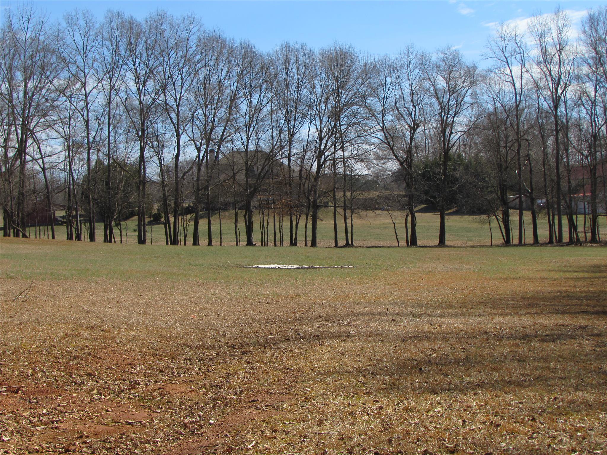 13643 Hughes Xing, Hampton, GA 30228 photo 25