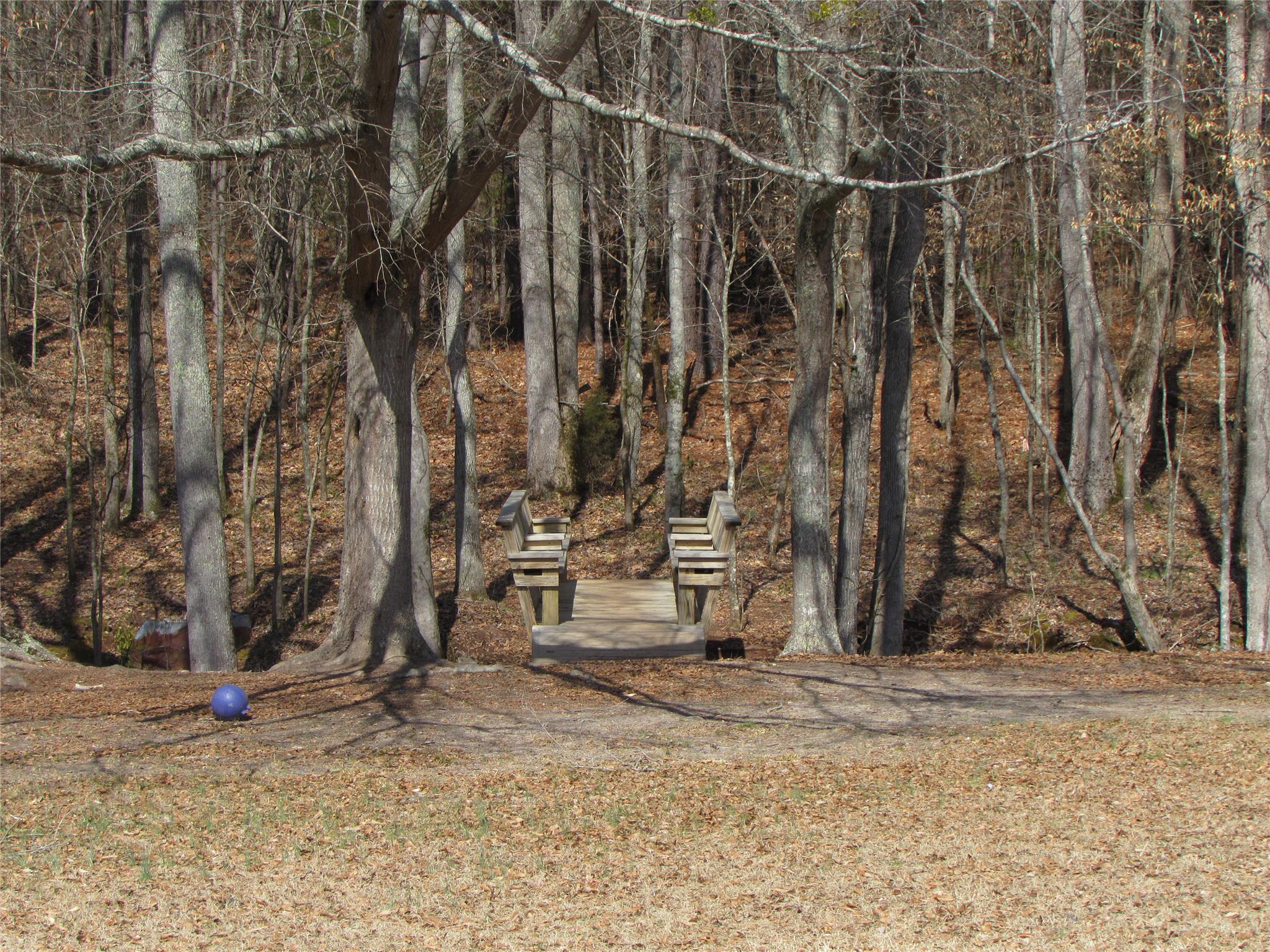 13643 Hughes Xing, Hampton, GA 30228 photo 22