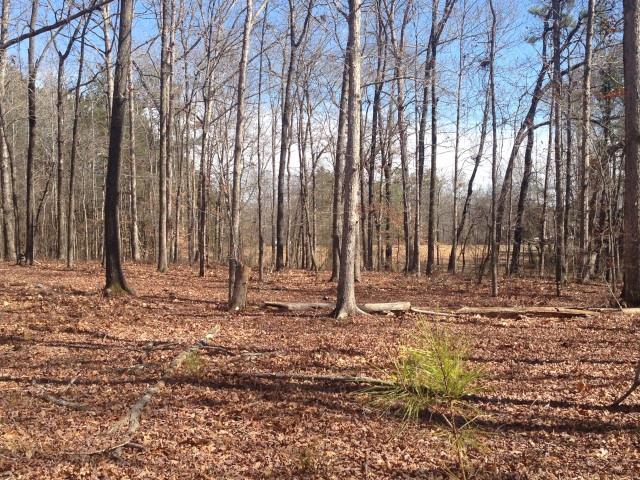 133 Gunter Dr, Colbert, GA 30628 photo 25