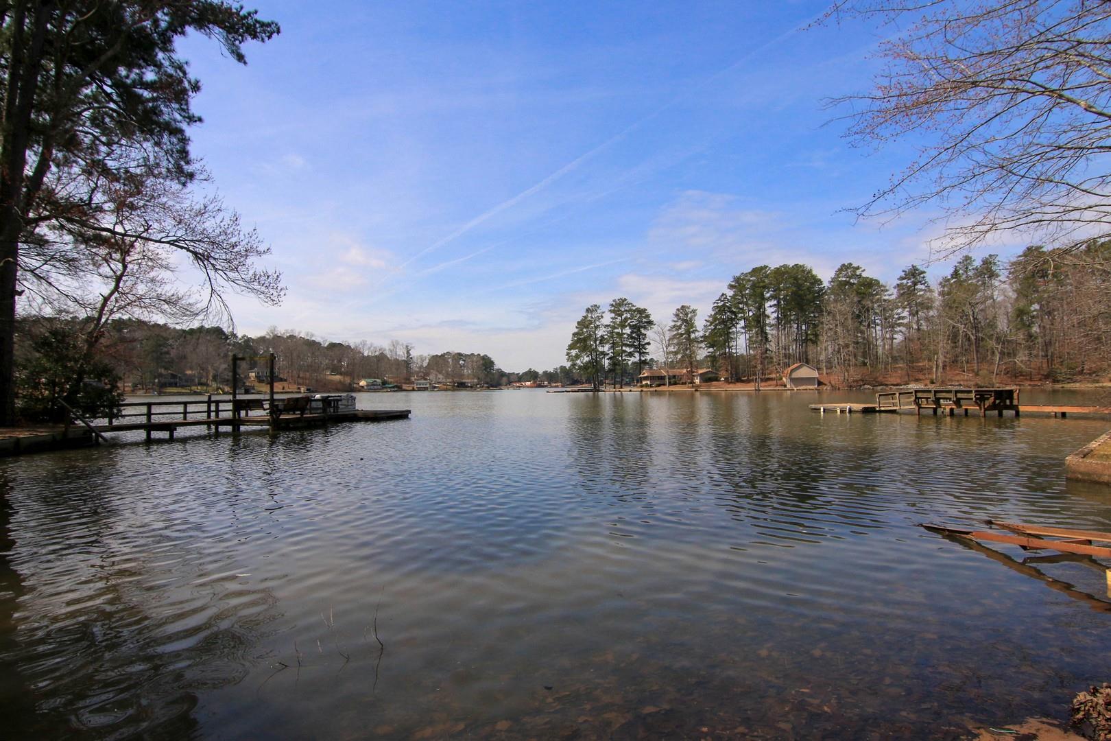 322 Blenny Run, Jackson, GA 30233 photo 5