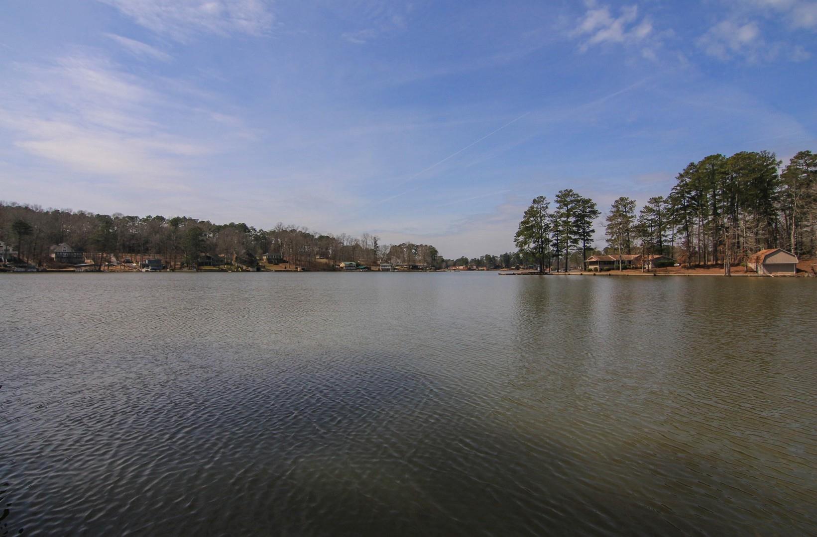 322 Blenny Run, Jackson, GA 30233 photo 4