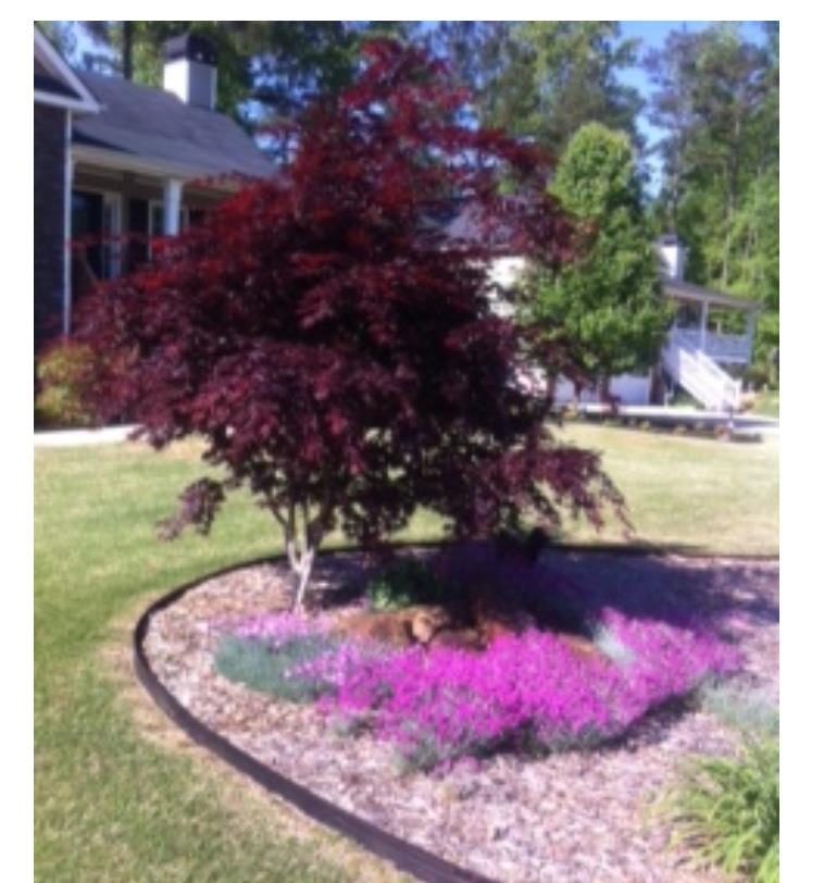 126 Meadow Spring Ln, Temple, GA 30179 photo 7