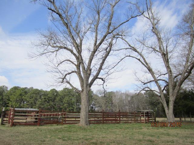 162 Freeman Cir, Barnesville, GA 30204 photo 18