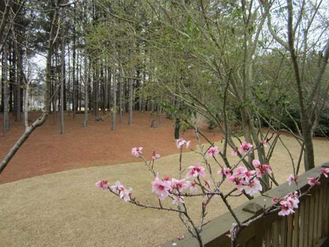 145 Devonshire Pl, Tyrone, GA 30290 photo 3