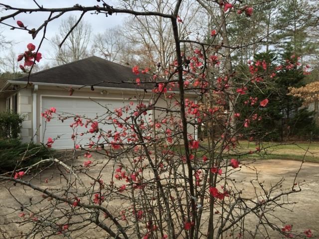 148 Buttonwood Loop, Athens, GA 30605 photo 25