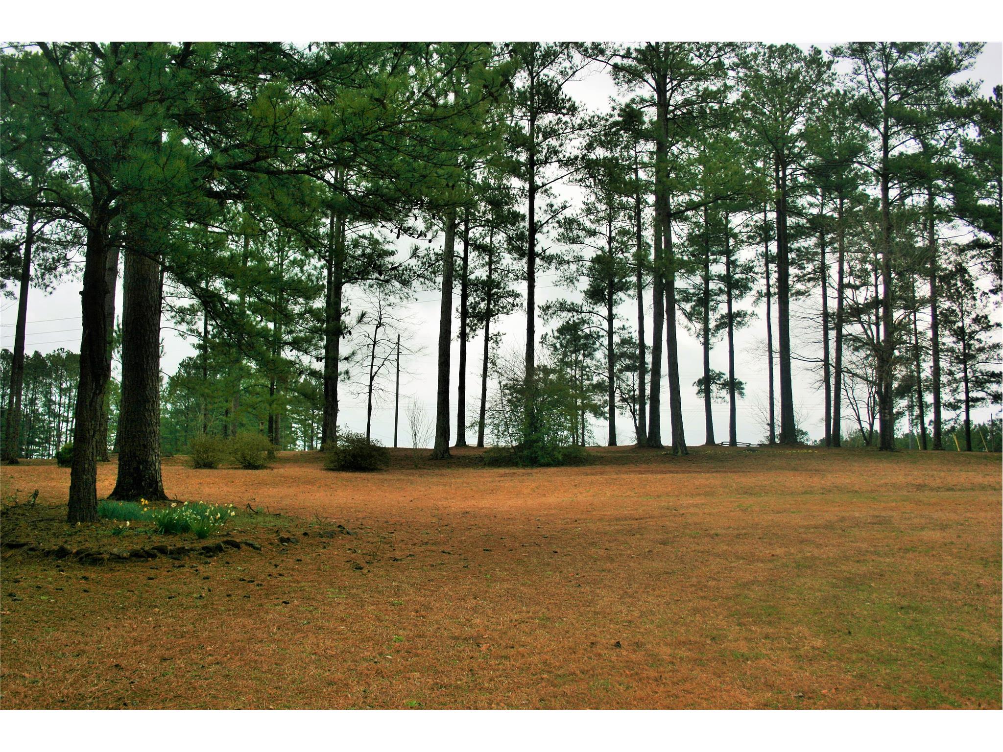 1662 Hammett Rd, Lagrange, GA 30241 photo 3