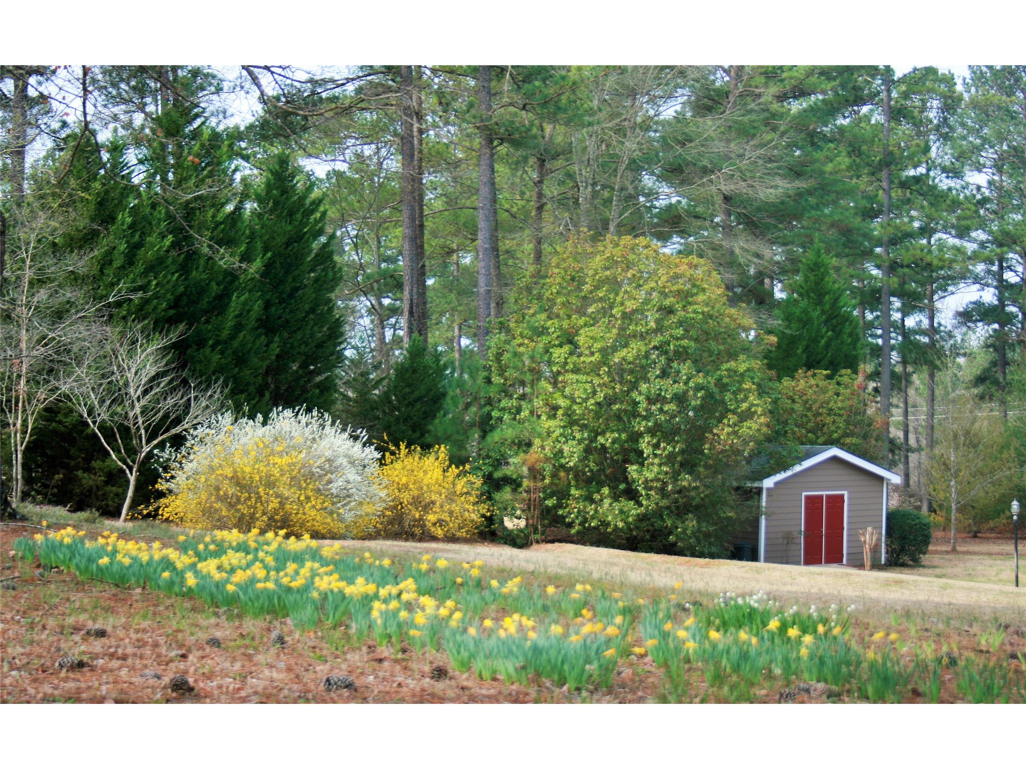 1662 Hammett Rd, Lagrange, GA 30241 photo 5