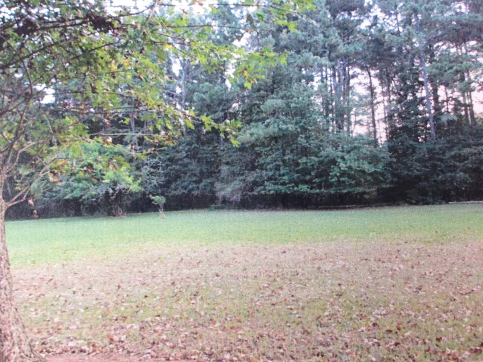301 Marks Rd, Mansfield, GA 30055 photo 4