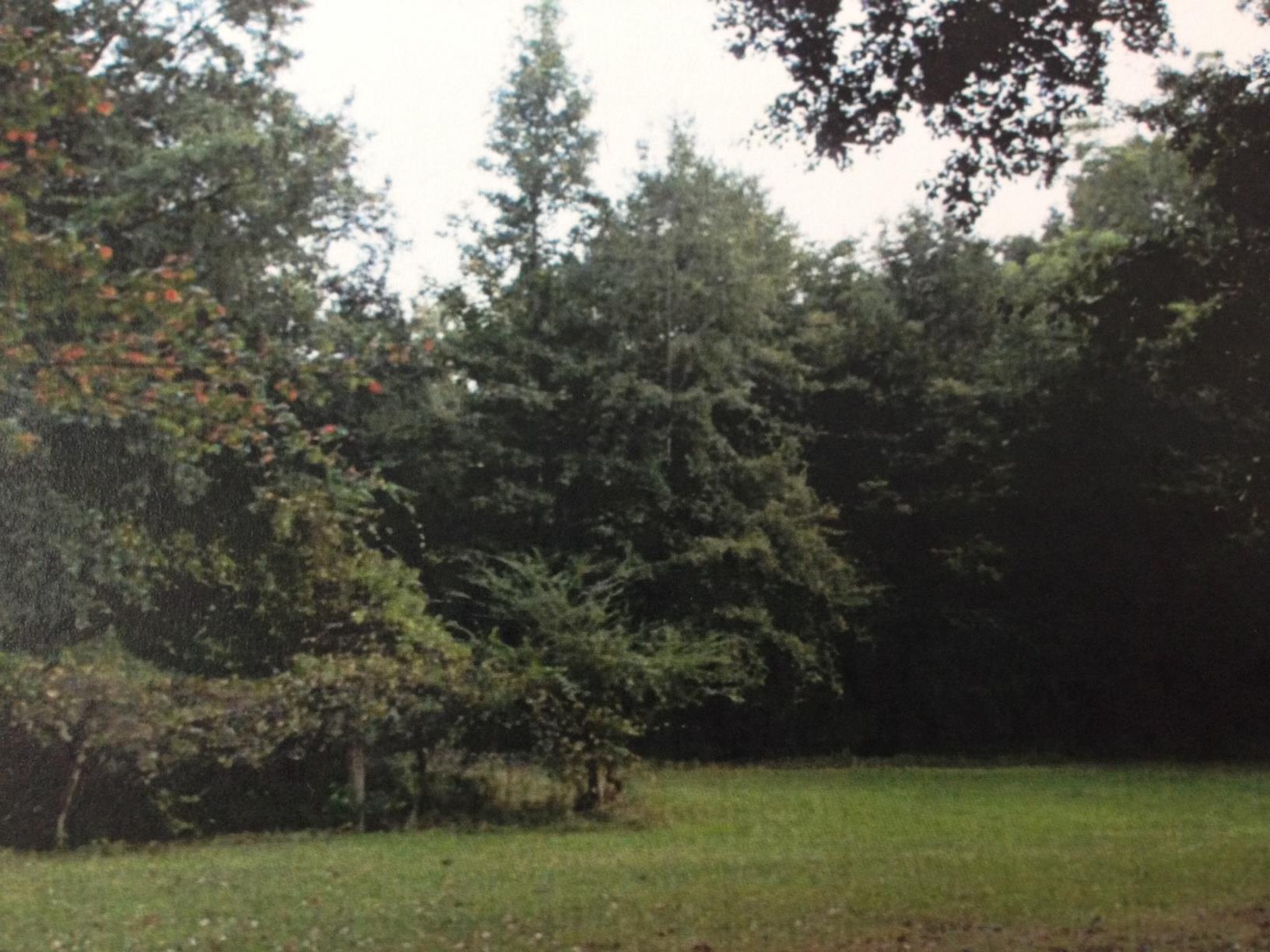 301 Marks Rd, Mansfield, GA 30055 photo 2
