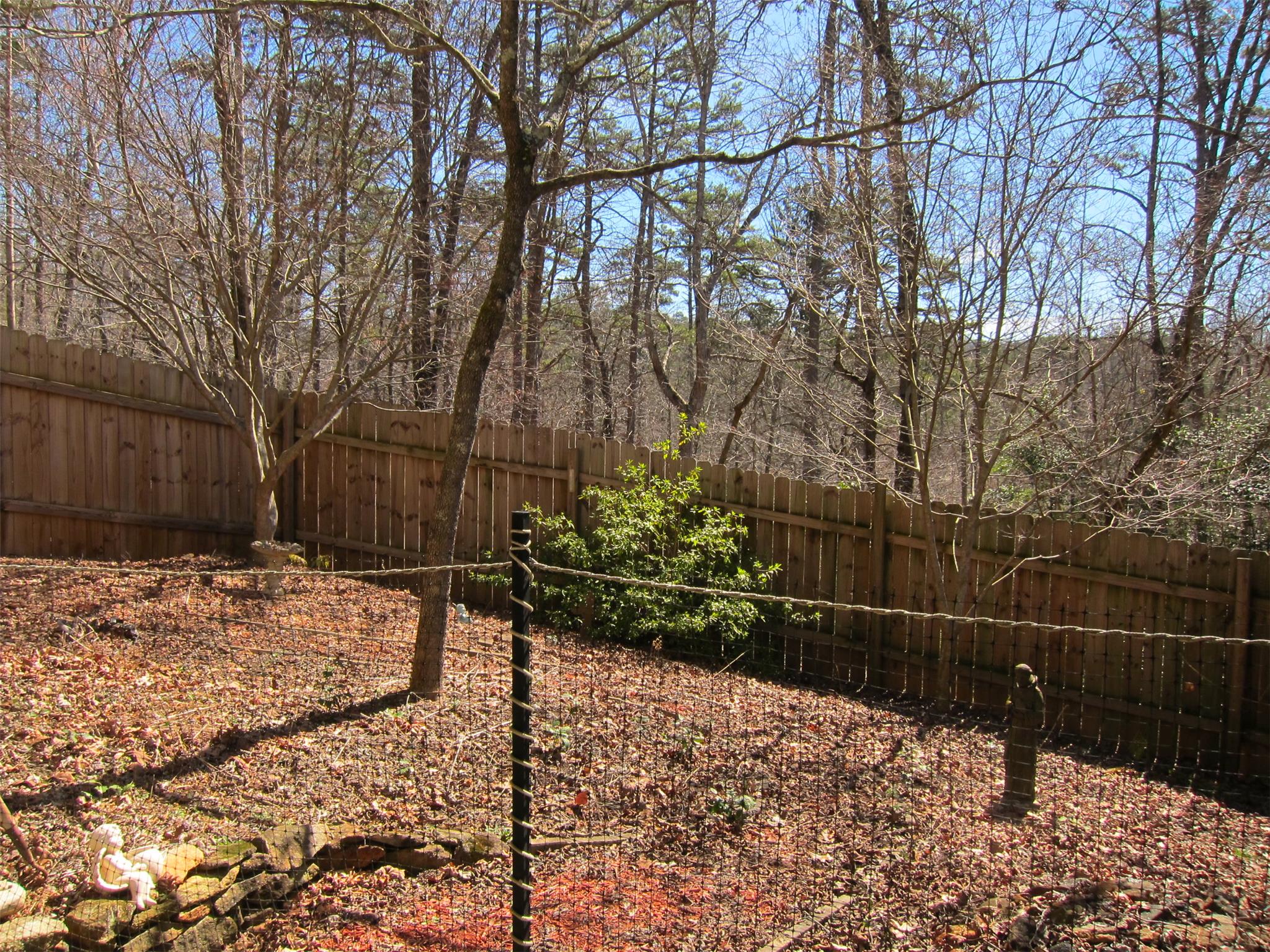250 River Swing, Cornelia, GA 30531 photo 24