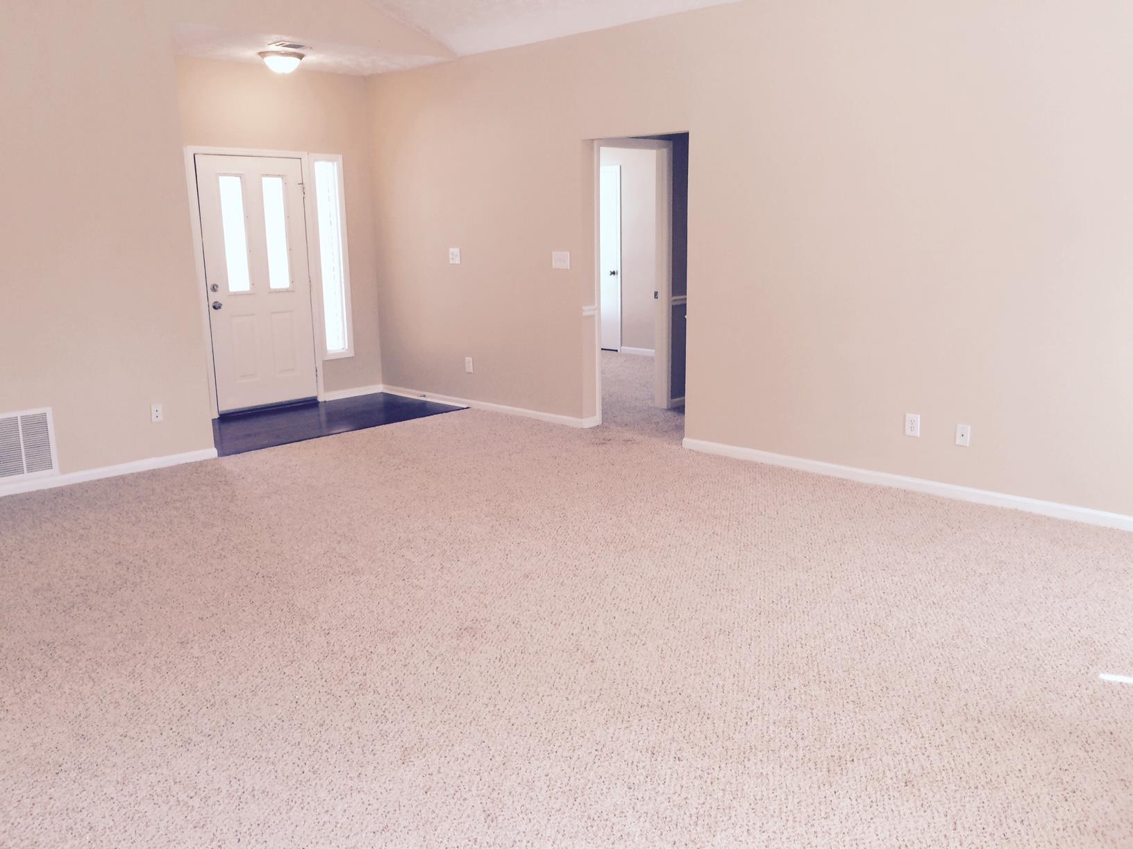 1336 Brady Ct, Hampton, GA 30228 photo 10