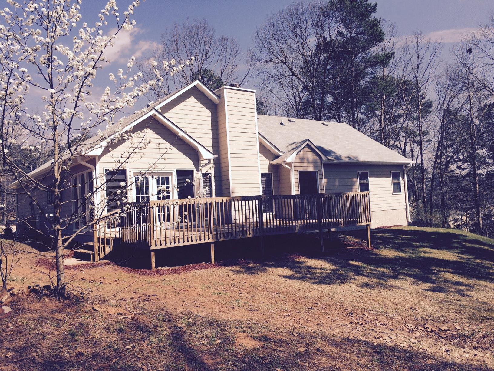 1336 Brady Ct, Hampton, GA 30228 photo 4
